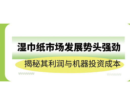 濕巾紙市場發展勢頭強勁，揭秘其利潤與機器投資成本