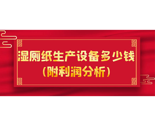 濕廁紙生產設備多少錢(附利潤分析)